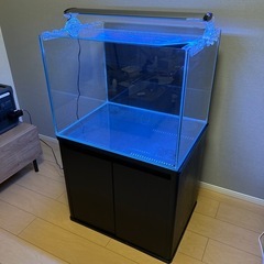 レグラスフラットの中古が安い！激安で譲ります・無料であげます