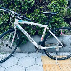 カメレオンテの中古が安い！激安で譲ります・無料であげます｜ジモティー