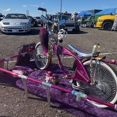 ローチャリ PINK スパイダーII