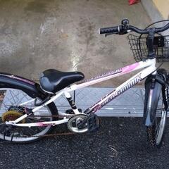 大阪府の20インチ自転車の中古が安い！激安で譲ります・無料であげます