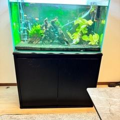 90センチ水槽の中古が安い！激安で譲ります・無料であげます｜ジモティー