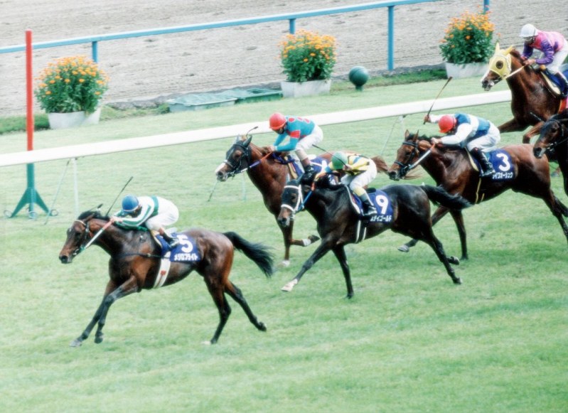 競馬：天皇賞を制した名馬たち [写真特集13/17] | 毎日新聞