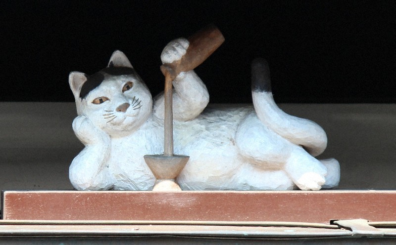 わたしのふるさと便：イチオシマップ 富山県 南砺市「八日町通り」 猫