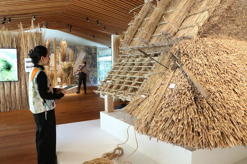 かやぶき屋根に光る匠の技 神戸・竹中大工道具館で企画展 ／兵庫