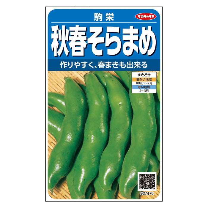 サカタのタネ 秋春そらまめ 駒栄 ＜豆の種＞の通販｜ソラマメ｜野菜の
