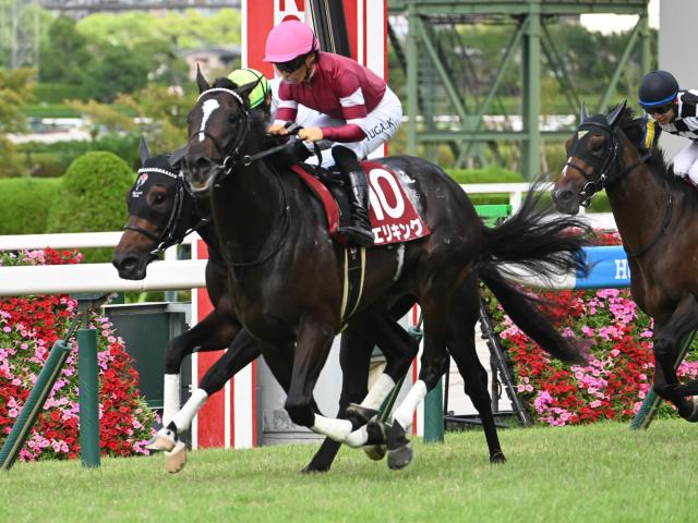 年度代表馬が懸かる大みそかの桐花賞に注目 | 競馬ニュース - netkeiba