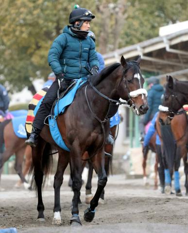 天皇賞・秋レース後コメント】アーモンドアイ C.ルメール騎手ら | 競馬