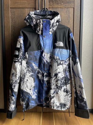 Supreme x The North Face Mountain Parka 