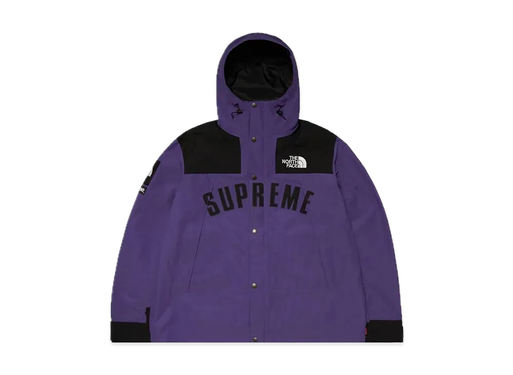 Supreme x The North Face Arc Logo Mountain Parka 