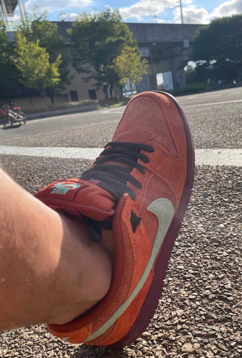 ナイキ SBダンク ロー プロ PRM 