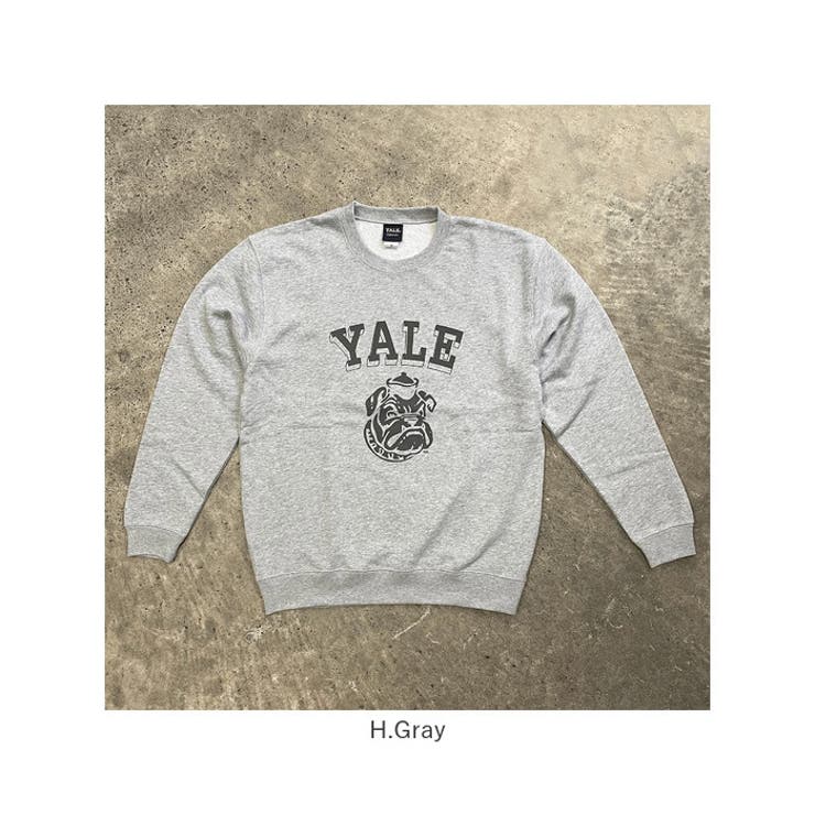 Yale 両面プリントクルースウェット[品番：BCYW0033118]｜BACKYARD