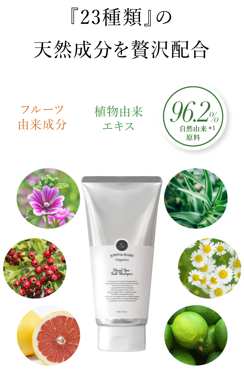 ヘッドスパ ソルトシャンプー – ジョンアンドマリーオーガニック