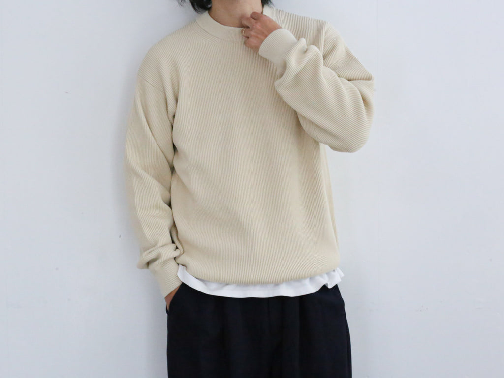 AURALEE SUPER HARD TWIST RIB KNIT P/O – Chum!