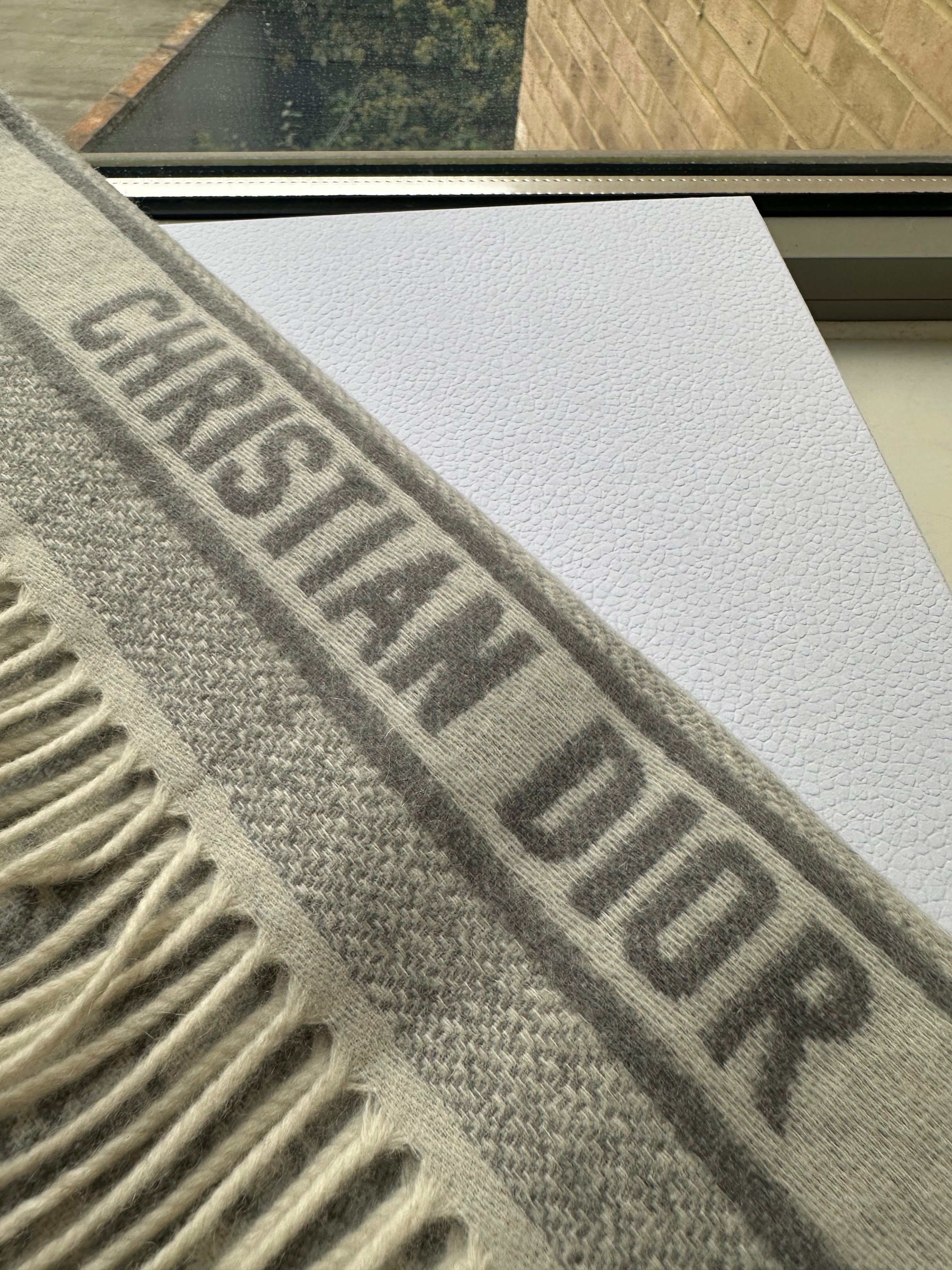 CHRISTIAN DIOR Oblique Scarf | Dior scarf (multi-color