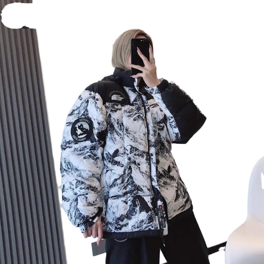 THE NORTH FACE FW22 DOWN Jacket NJ1DN57A