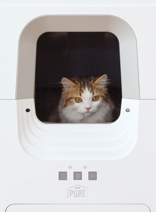 24時間全自動でお掃除 PURE CAT AUTO TOILET | PURE（ピュア）公式