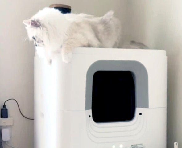 レンタルプラン】24時間全自動でお掃除 PURE CAT AUTO TOILET | PURE