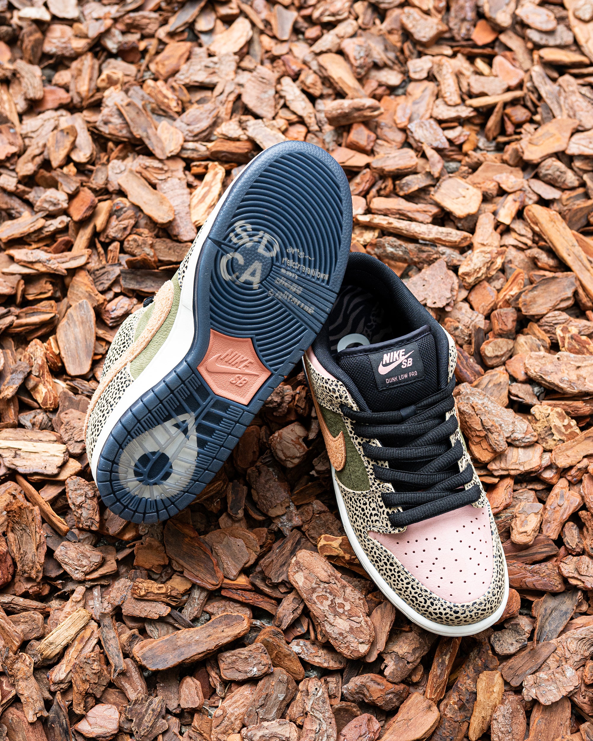 Nike SB X ARTS-REC（ナイキスケートボーディング X アーツ・レック