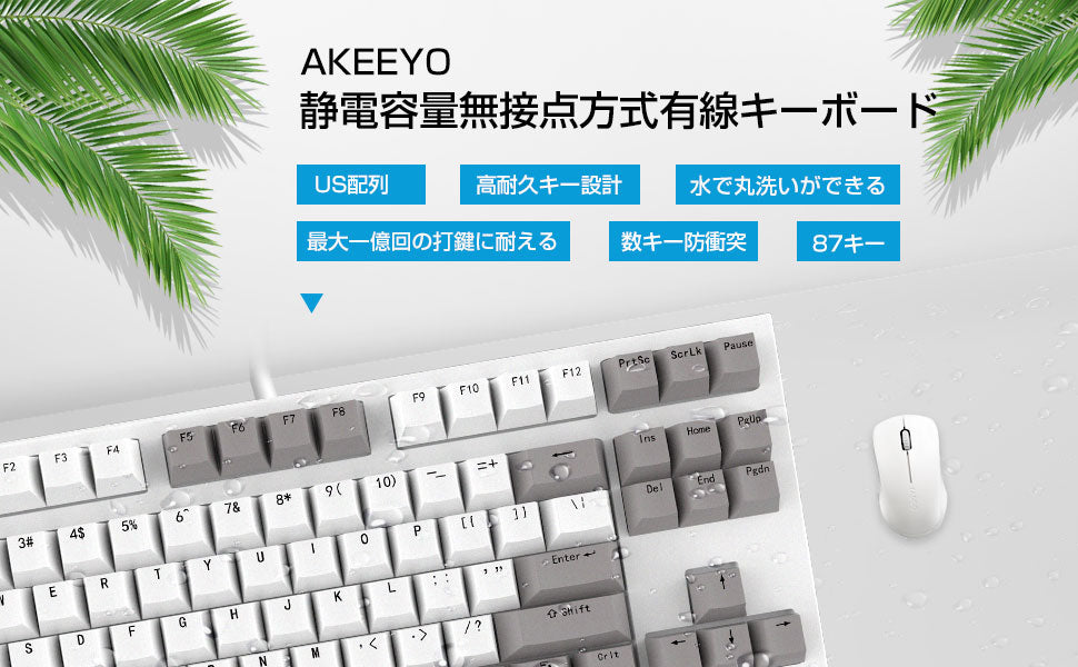 AKEEYO NiZ 静電容量無接点方式 有線キーボード IP68全体防水