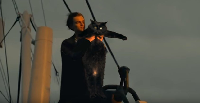コラ映画猫】アウル・キティが挑む「タイタニック」息をのむ名場面