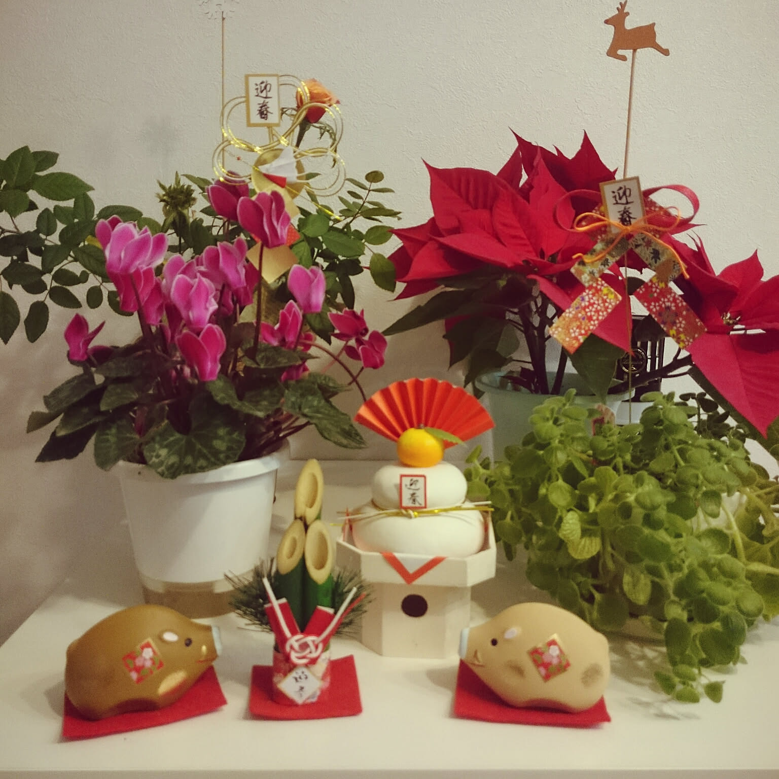 お正月 ポインセチアのおしゃれなアレンジ・飾り方のインテリア実例