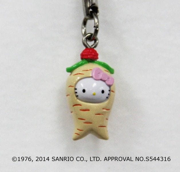 島根限定】「今にもチョコチョコ歩き出しそう!? 朝鮮人参に変身した