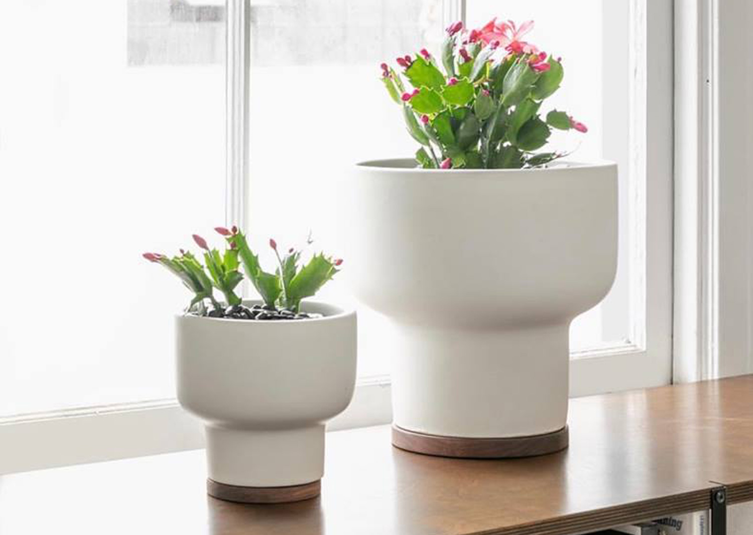 ミッドセンチュリーデザイン、「カリフォルニア」で生まれた美しい