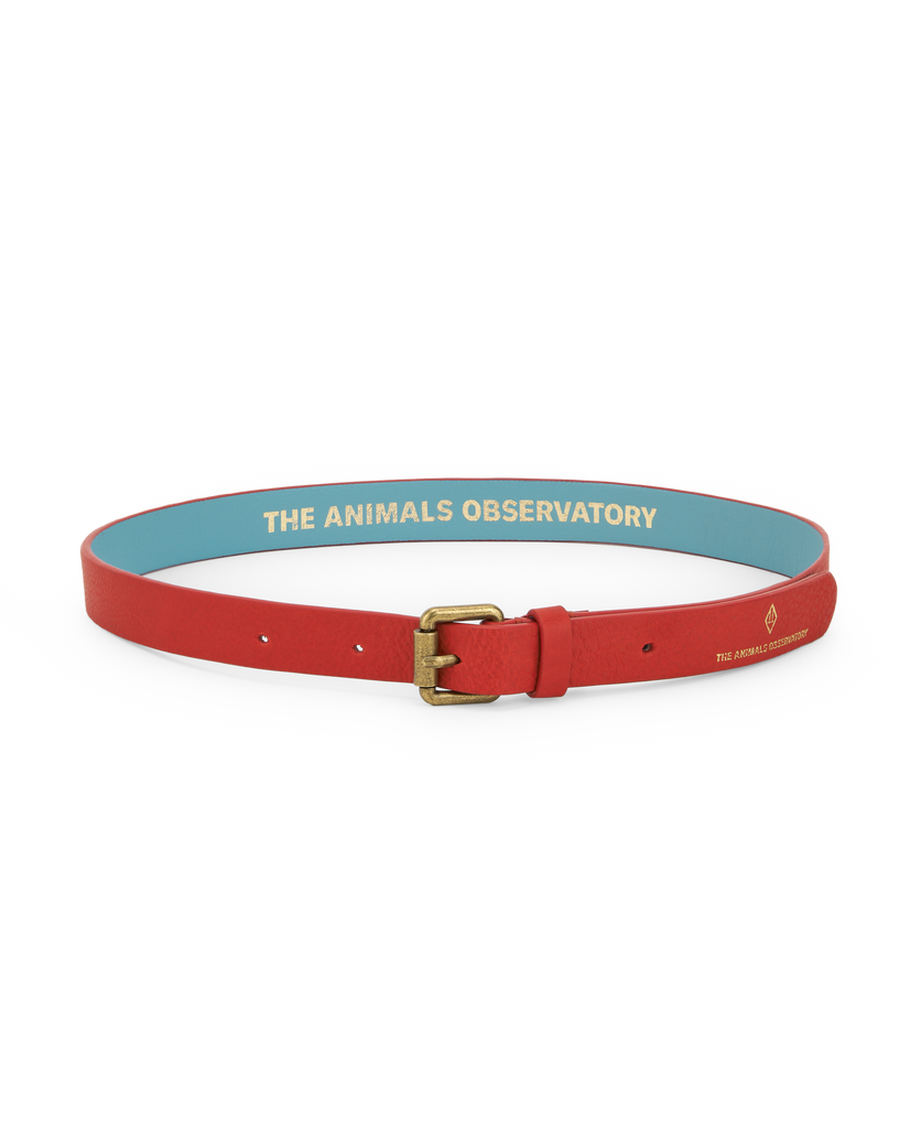 Kids Ibis Belt– C'est Chou by Sienna