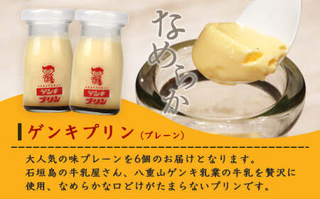 ゲンキプリン 6個 【プレーン 八重山ゲンキ乳業 お土産 観光 ゲンキ