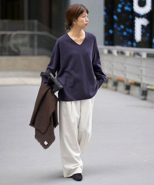 追加》Fineニュージーウール ニュアンス Vプルオーバー（ニット