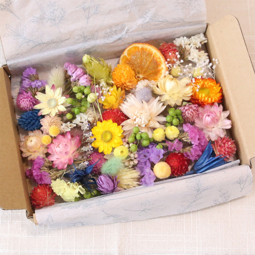 ドライフラワー 花材 セット 詰め合わせ （カラフルMIX） ドライ