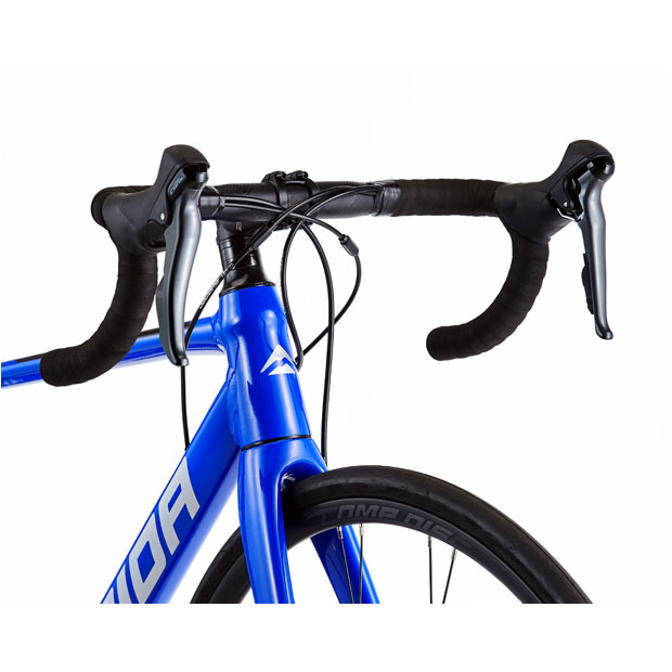 SCULTURA 150（スクルトゥーラ150）あさひ限定-M ロードバイク 自転車