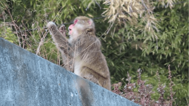 img_2f7d477f008d1da1ed1ad7862c