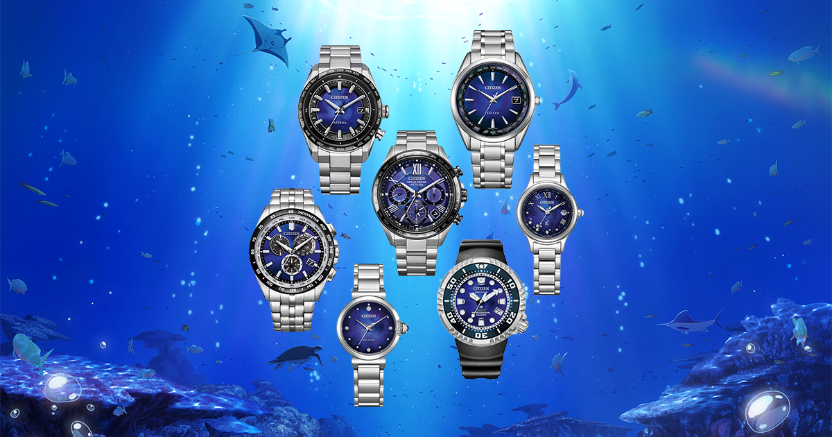 UNITE with BLUE - CITIZEN