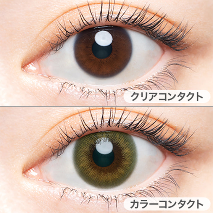 エンジェルカラーバンビシリーズヴィンテージワンデー(Angelcolor