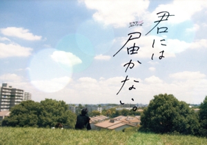 君には届かない。 DVD-BOX 中古DVD・ブルーレイ | ブックオフ公式