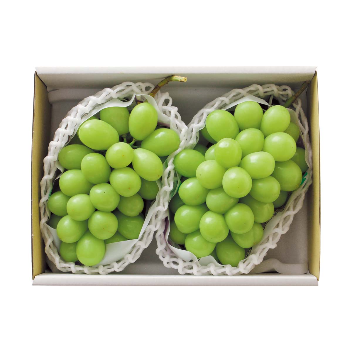 公式】 【終】【完売】【産地直送】シャインマスカット（種なし） 予定