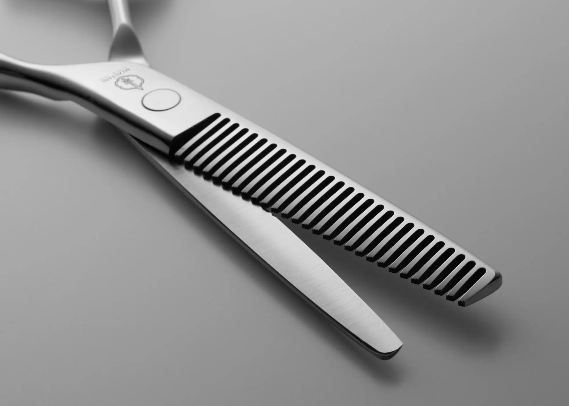 特集 New Fit | ミズタニシザーズ