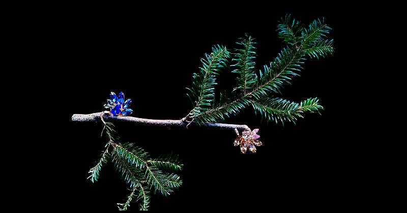 Colette Malouf: Designer Hair Accessories & Jewelry