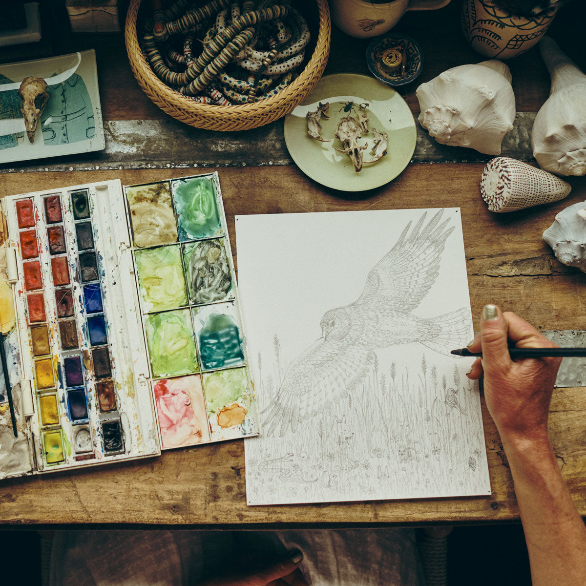 コーラル＆タスクについて – Coral & Tusk