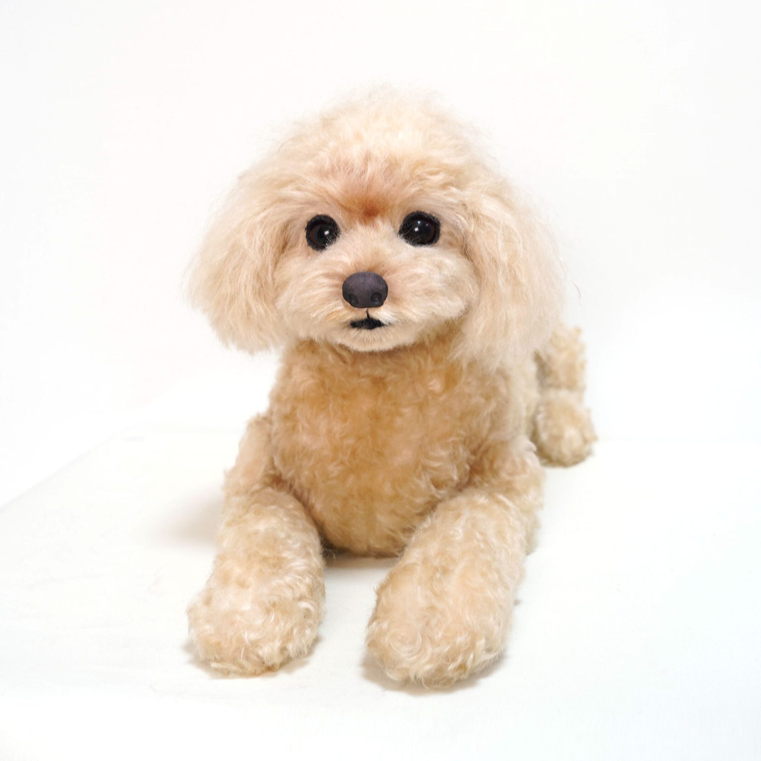 250616 ルイちゃん トイプードル - 【公式】ぬいぐるみのオーダー