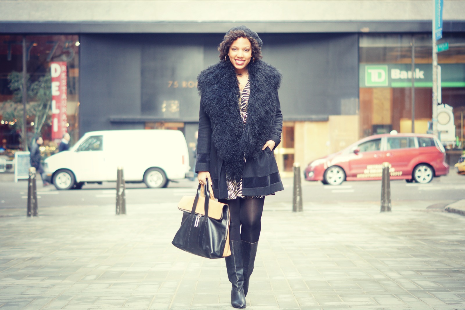 Closet Confection: Zoologist {Zebra Print Dress + Phillip Lim '31