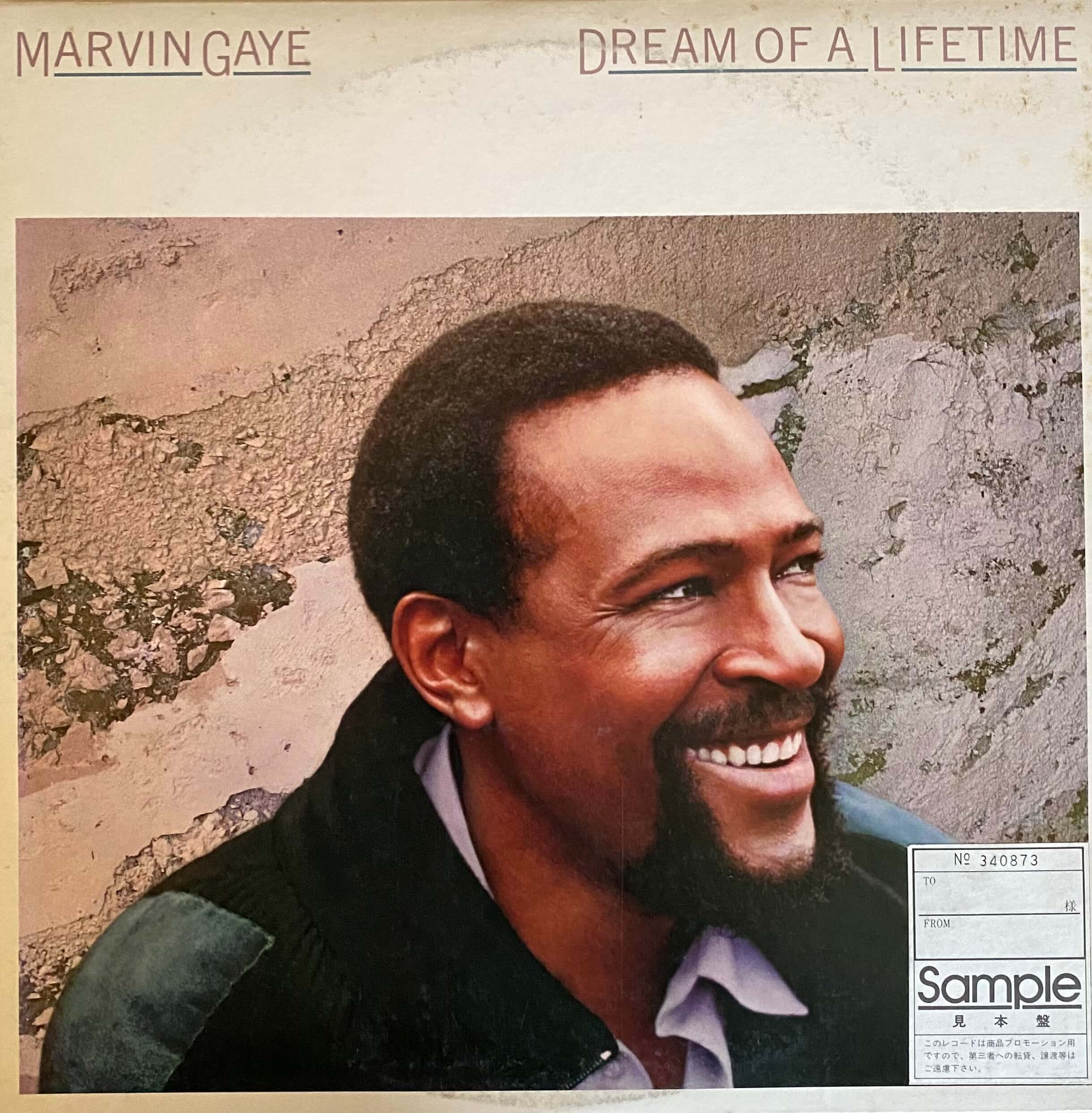 Marvin Gaye / Dream of a lifetime - DAIEIRECORD