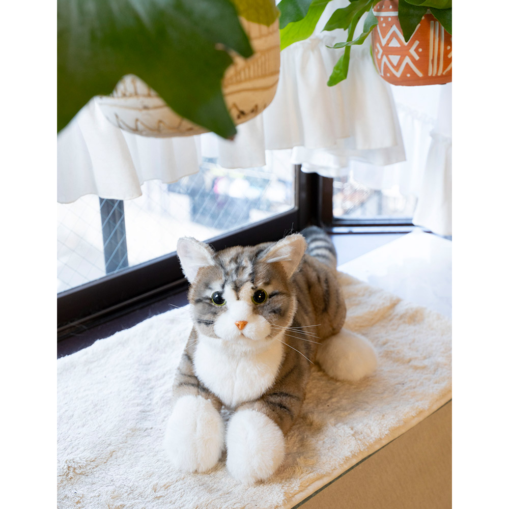 なでなでねこちゃんEX キジトラちゃん | デアゴスティーニ公式