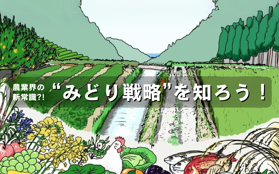 みどりの食料システム戦略