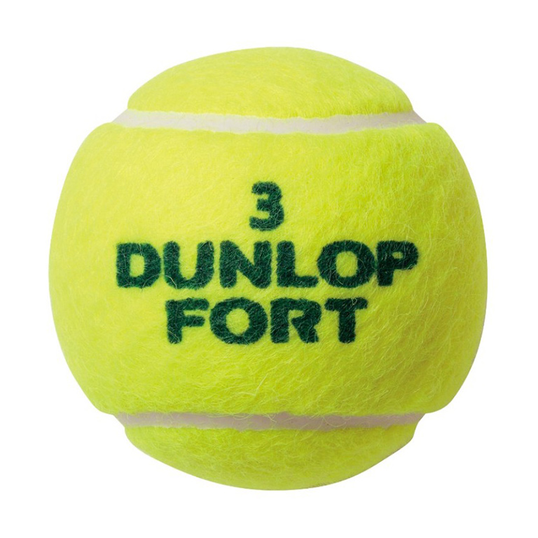 DUNLOP FORT ダンロップ フォート 4球入缶 SDGS | ダンロップスポーツ