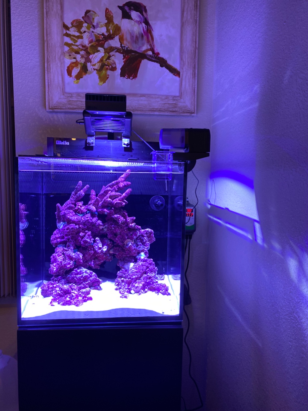 ReefWave 25 Aquarium Gyre Flow Pump - Red Sea - SaltwaterAquarium.com