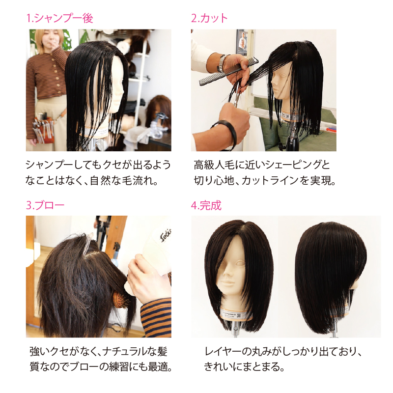 国家試験用カットウィッグ6体セット