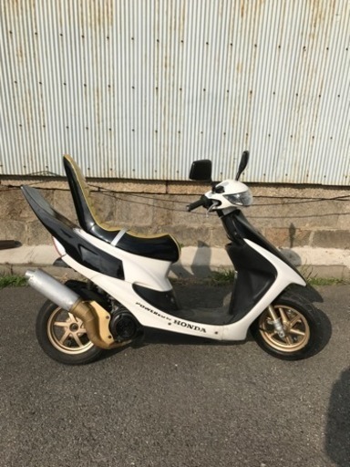 トクトヨ)Tokutoyo ＿＿☆ライブDIO-ZX☆タックロールシートB/W