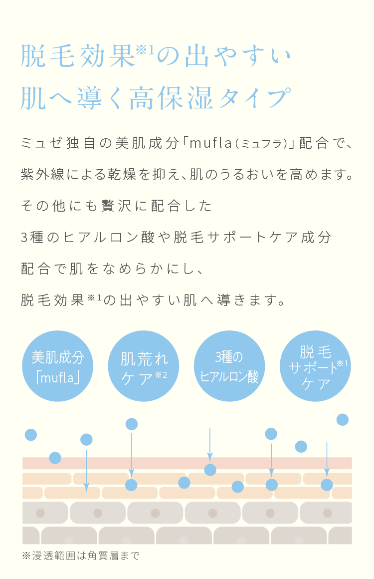 MUSEE COSME HOW TO GUIDE